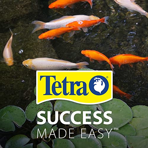 TetraPond Pond Flakes, Complete Nutrition for Smaller Pond Fish, Fish Food for Goldfish and Koi Fish, 6.35 Ounces - size: 6.35 Ounce (Pack of 1), style: Original