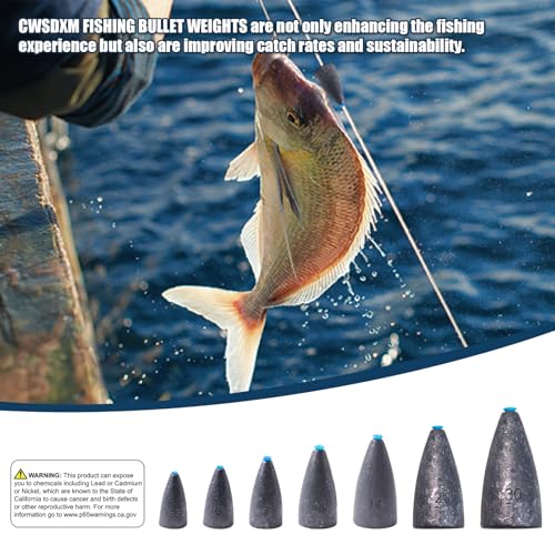 Worm Fishing Weights, Bullet Sinkers with Soft Plastic Insert Includes Weight Pegs, Carolina Rigs Texas Rigs for Bass Fishing 1/8 3/17 1/4 3/8 1/2 1 oz - size: 3/4 OZ, 14 PCs