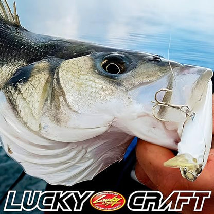 LUCKY CRAFT Pointer 78SP Fishing Lures, 3" Freshwater Bass & Trout Lures, Suspending 4ft-5ft Depth, Jerkbait, Bass Fishing Gear and Accessories, Ghost & Aurora - color: 717 Ghost Pink Gold Sardine