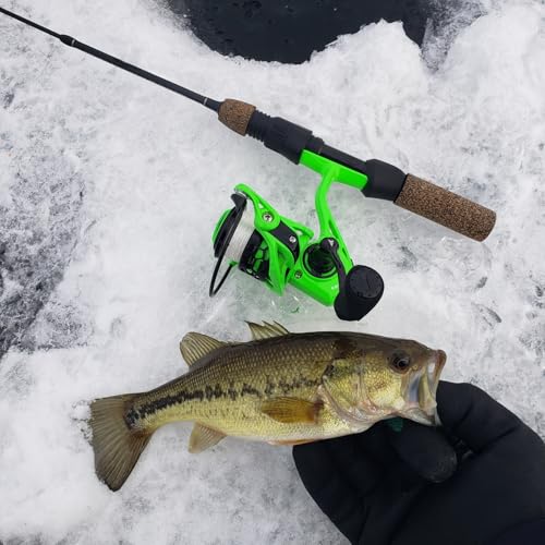 KastKing Zephyr Spinning Reels – 7+1/6+1 BB – Carbon Fiber Drag – Stainless Steel Shaft – Aluminum & CNC Spool – Black/Green/Orange – Sizes 500/1000 SFS – ICE Fishing Ready Reels! - color: Standard-Green, size: 500
