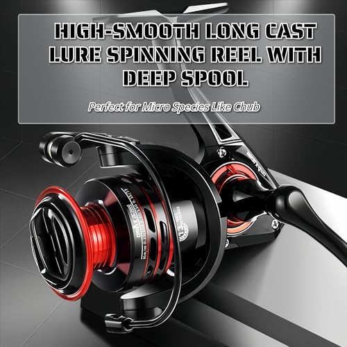 Spinning Fishing Reel – Metal Spool & Alloy Handle, Long-Cast Deep Spool Reel, Smooth Drag System, 13+1 Bearings, Adjustable Folding Handle, Freshwater & Saltwater Lure Reel - size: 2000