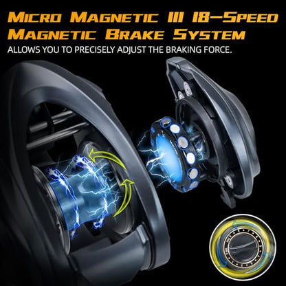 SeaKnight FALCAN IV Baitcasting Reel - 6.2oz Ultralight, 15.4LB Carbon Drag, 10+1 BB, 7.3:1/8.1:1 High Speed Gear Ratio, Right/Left Hand Retrieve - for Bass, Inshore & Freshwater Fishing - color: 8.1 Right Hand+Shallow Spool