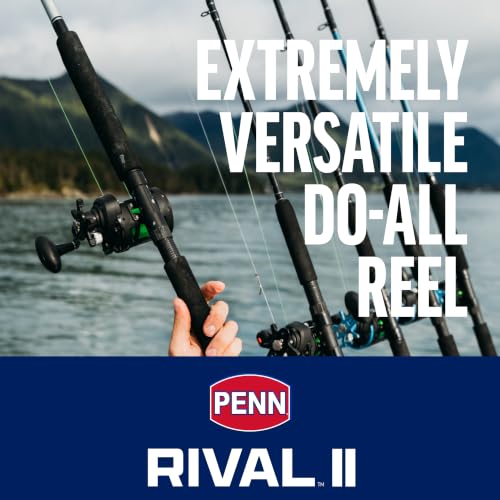 PENN Rival Level Wind Conventional Fishing Reel - size: 15 - Line Counter, style: New Model