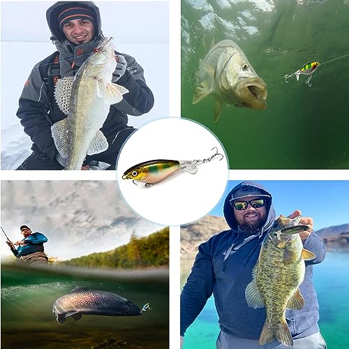 Top Water Fishing Lures 4PCS Fishing Lure for Bass Trout Pike Perch, Floating Bass Bait with Propeller Tail,Topwater Lure for Freshwater Saltwater