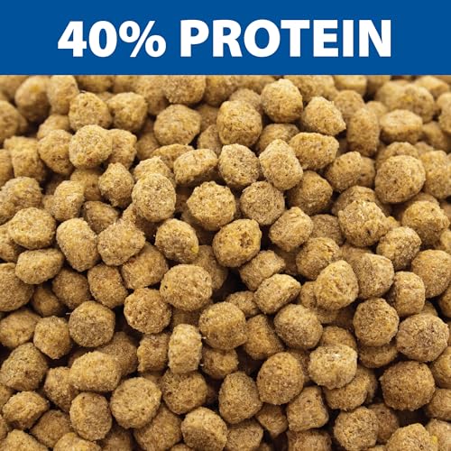 The Pond Guy Game Fish Grower Floating Pellet Food, 17 lbs | Complete aquatic nutrition for bass, trout, & catfish in freshwater ponds & lakes with balanced daily feeding