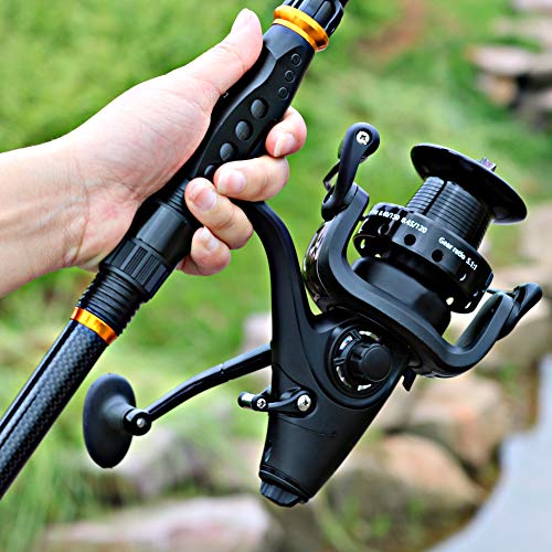 Sougayilang Spinning Fishing Reel 12+1BB Metal Body Smooth Carp Spinning Reels for Saltwater Freshwater Fishing - color: BE5000