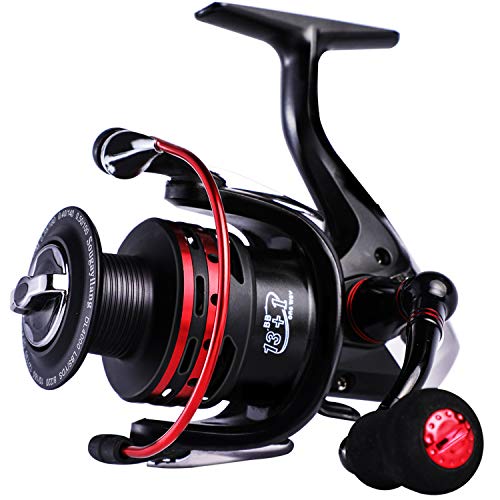 Sougayilang Fishing Reels Powerful 13+1BB Spinning Reels Ultra Smooth Reel for Saltwater or Freshwater - size: 4000
