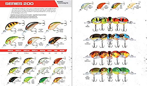 Bandit Lures BDT - color: Bone Orange Belly