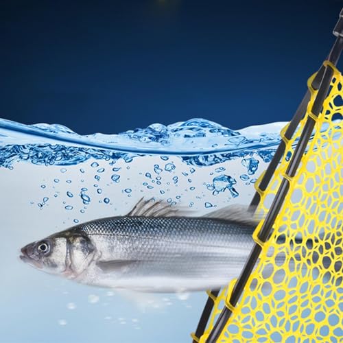 Trout Net Fine Mesh Handle Catch-Release | Fishing Landing Net for Lake River Trout Fishing - size: Carbon handle fishing net