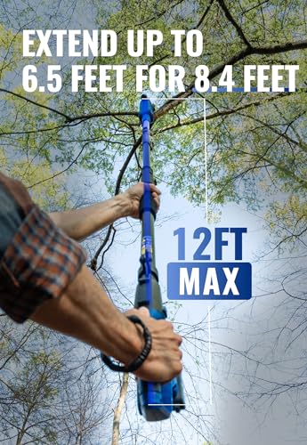 WILD BADGER POWER Cordless Pole Saw 20V 8'' Electric 2.0Ah with Telescoping Pole, 0° to 30° Adjustable Head, Battery and Charger included - style: 20V