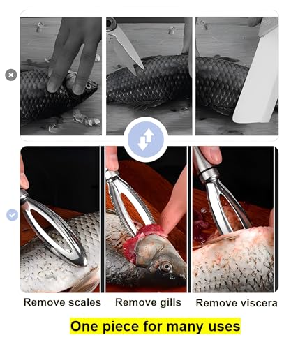 Fish Scale Remover,304 Stainless Steel Fish Scaler Easy Use Fish Descaler Tool,Fish Scaler Remover Lung Remover for Family Kitchen,Easy to Clean Kitchen Tool(9.65 * 1.26in)-SATONBEYI