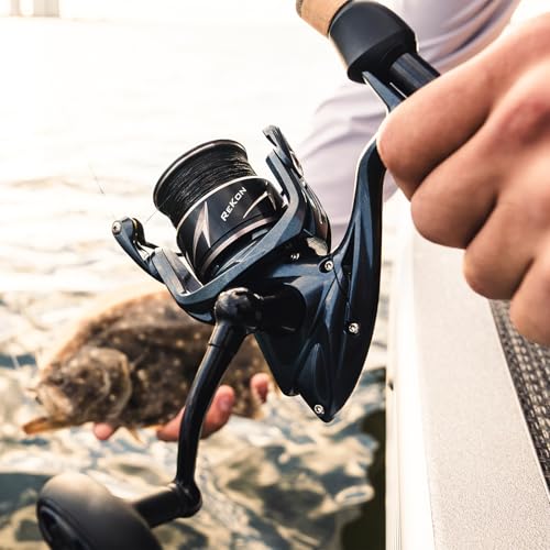 KastKing ReKon Saltwater Fishing Rod and Reel Combo, Fishing Poles & Reels Combo, Graphite Blank, Zirconia Rings, NyliTech Frame & Rotor, EVA Handle, Uplock Reel Seat - style: Spin-7'0" Medium Light-3000 Reel-2pcs