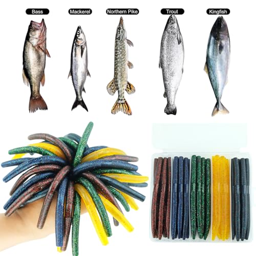 Wacky Worm Bass Lures Kit: 40PCS 5" Senko Worms with Storage Box | Slow-Sink Fishing Baits for Freshwater Saltwater