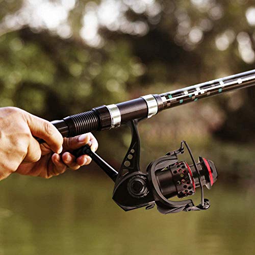 Ashconfish Spinning Reel, Saltwater Spinning Fishing Reels, Freshwater Fishing Reel, Ultra Lightweight Body, 8 Stainless Steel BB, 5.0:1 Gear Ratio, Max 17.6lbs Drag, Come with 109Yards Braided Line - style: Cf5000