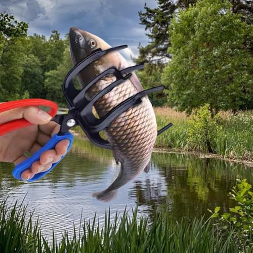 2 PCS 3 Claw Fish Gripper, Metal Fishing Pliers Gripper, Fish Control Clamp Claw Tong Grip Tackle Tool, Multi 3 Teeth Fishing Pliers for Most Freshwater Fish Grip Tackle Holder - color: 3 Claw 2 Pics
