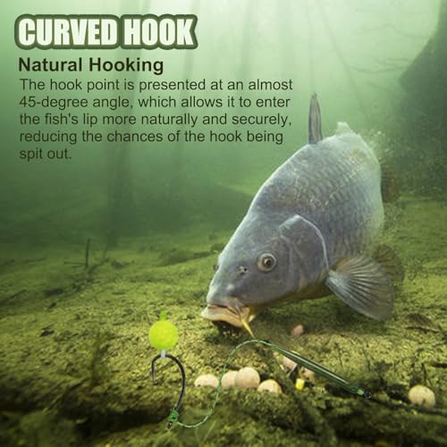 Carp Fishing Hair Rigs Carp Fishing Gear with Braided Thread Line, Carp Fishing Hooks Size 2/4/6/8, Swivel Snaps and Artificial Carp Boilie Eggs - size: Hair Rigs Fishing Size 8 -10pcs