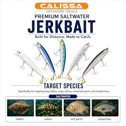 Calissa Offshore Tackle 110mm and 140mm California Inshore Fishing - Special Jerkbait Crankbait Surf Flash Fishing Salt Pro Lure Minnow Zebra MS Metallic Sardine Glow - size: 110mm, style: 5 Pack