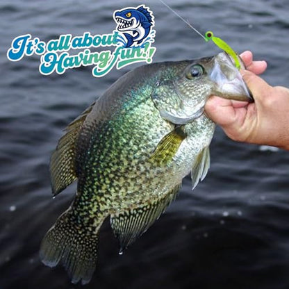 120pcs Fishing Crappie Lures -70pcs Jig Heads Hooks Kit,Small Soft Plastic Grub Lure, Tube Bait Jig Heads for Saltwater Freshwater Fishing - size: 110 pieces (30 Jig Heads + 80 Soft Baits)