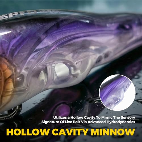 Topwater Fishing Lures -Hard Swimbait,3 8/9in 1/2oz Floating Lure with Hollow Cavity for Scent Attractant, for Bass,Pike,Trout,Freshwater & Saltwater - color: Notropis Chrosomus