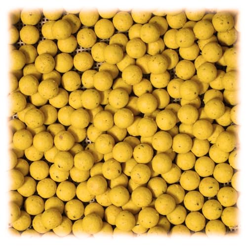 WCB Carp Baits High Protein Boilies 20 mm 1 lb Bag - Carp Bait - Ideal for Carp Fishing - style: Flavor: Sweet Corn