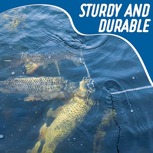 2 Pack Fishing Chain Stringers with Swiveled Moveable Snaps Fishing Threader Stainless Steel Fish Gear for Freshwater and Saltwater