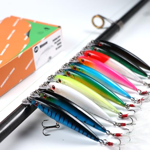 EXAURAFELIS Suspending Jerkbaits California Surf Fishing Lures Fishing Gear Minnow Lure swimbaits Minnow Lure Baits Kit Topwater Baits Swimbait for Bass Trout Pike Catfish FishingPlug Freshwater