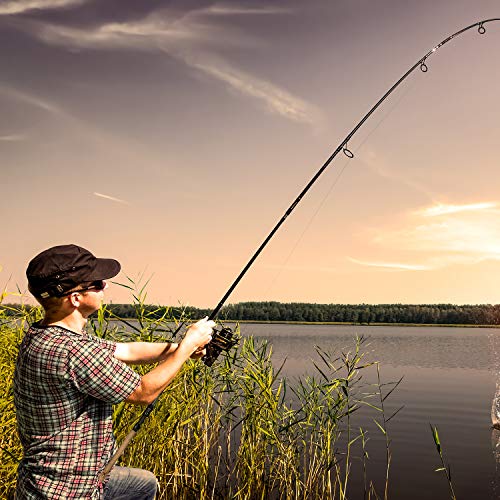 Cadence Essence 2025 Compact Design Spinning Rod 5.6FT | 24-Ton Graphite Lightweight | Stainless Steel SIC Guides | Freshwater & Saltwater | High Sensitivity - style: 6'0"|light|moderate Fast|2 Piece