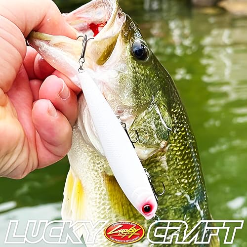 LUCKY CRAFT Gunfish 95 3 Hook Freshwater Fishing Lures and Bait for Bass Fish, Topwater Fish Line, Surface Bait with Treble Hooks, Fishing Gear for Tackle Box - color: 250 Chartreuse Shad