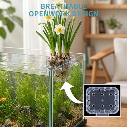 12 Pack Clear Aquarium Plant Holder Top Hanging for Fish Tank, Aquariums Planter Basket Pots for Aquatic Plants