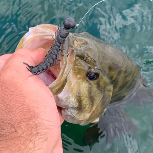 Great Lakes Finesse Juicy Hellgrammite - color: Meltdown
