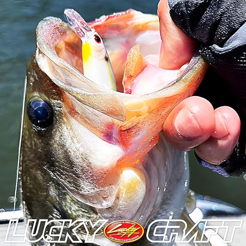 LUCKY CRAFT Pointer 78SP Fishing Lures, 3" Freshwater Bass & Trout Lures, Suspending 4ft-5ft Depth, Jerkbait, Bass Fishing Gear and Accessories, Ghost & Aurora - color: 276 Laser Rainbow Trout