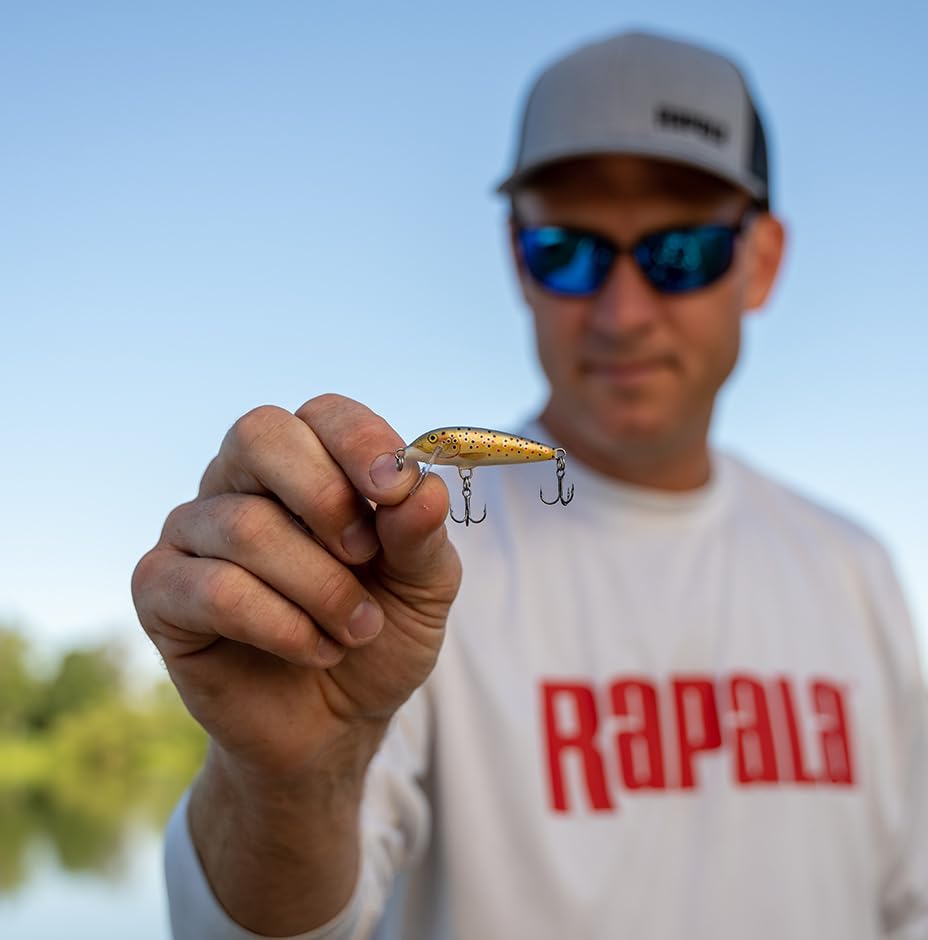 Rapala Countdown 1/4 Oz Fishing Lures - color: Brook Trout