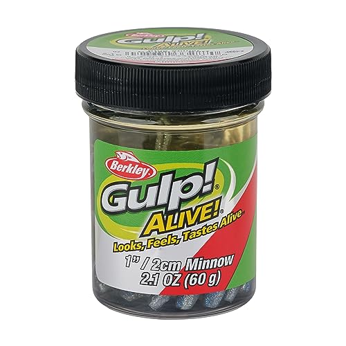 Berkley Gulp! Alive! Minnow Fishing Soft Bait - color: Blue Shiner, size: 1in - Jar