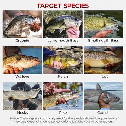 MadBite by KastKing 182/265/400pcs Compact Fishing Tackle Kit - All-in-One Freshwater Hooks, Weights, Bobbers in Tackle Box, Fishing Gear Set for Bass Trout Panfish - style: 182pcs Terminal Tackle Kit