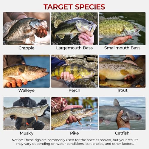 MadBite by KastKing 182/265/400pcs Compact Fishing Tackle Kit - All-in-One Freshwater Hooks, Weights, Bobbers in Tackle Box, Fishing Gear Set for Bass Trout Panfish - style: 182pcs Terminal Tackle Kit