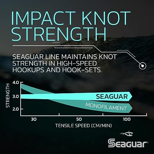 Seaguar Blue Label Fishing Leader Line for Saltwater, 100% Fluorocarbon, Clear, Multiple Sizes - size: 25lbs/25yds