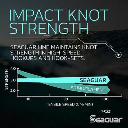 Seaguar Blue Label Fishing Leader Line for Saltwater, 100% Fluorocarbon, Clear, Multiple Sizes - size: 25lbs/25yds