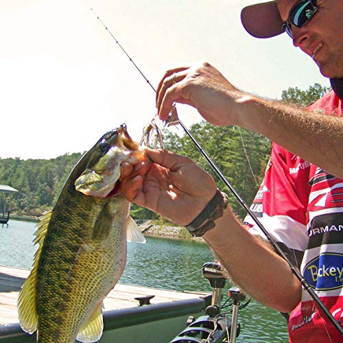 Spinnerbait Bass Fishing Lures Kit,6pcs Spinner Baits Bass Fishing Lures Buzzbait Swimbait Colorado Blades Spinnerbait for Trout Salmon Pike Walleye Crappie Saltwater Freshwater