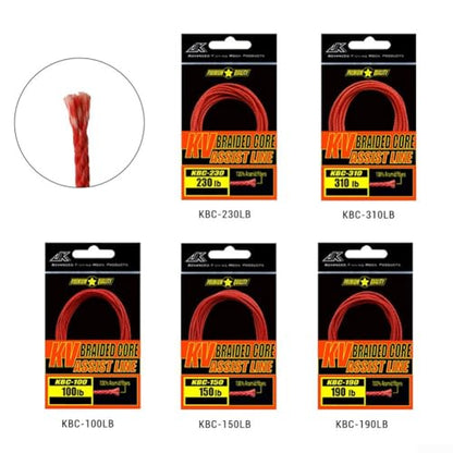 100~310LB For Braided 8 Strands Fishing Assist Line PE Hollow Core Hook Binding Rope for Heavy Duty Fishing - size: 100lb