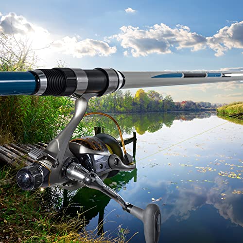 Yoshikawa Baitfeeder Spinning Reel Fishing 5.5:1 11 High Power Stainless Ball Bearings 30Lb Drag Right Left Hand Saltwater Freshwater Reversible Front Rear Drag Live Liner 3000-6000 - style: Cy-5000