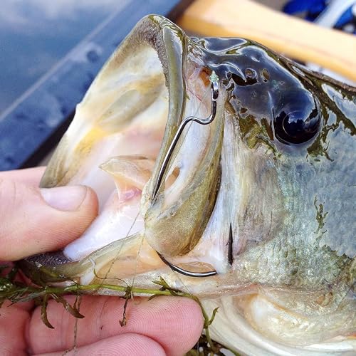 Bass Fishing Hooks 3X Strong Offset EWG Worm Hooks Jigs for Soft Plastic Bait Bass Trout Texas Rig 1-5/0 - size: 50PCS-5/0