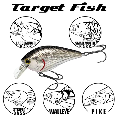 LUCKY CRAFT LC 2.5 Silent Crankbait Fishing Lures, 2-3/8” Squarebill Crankbait, Bass Lures, Floating 4ft Depth Hard Bait, Champion Freshwater Fishing Gear and Tackle Box Accessories - color: 402 Copper Green Shad