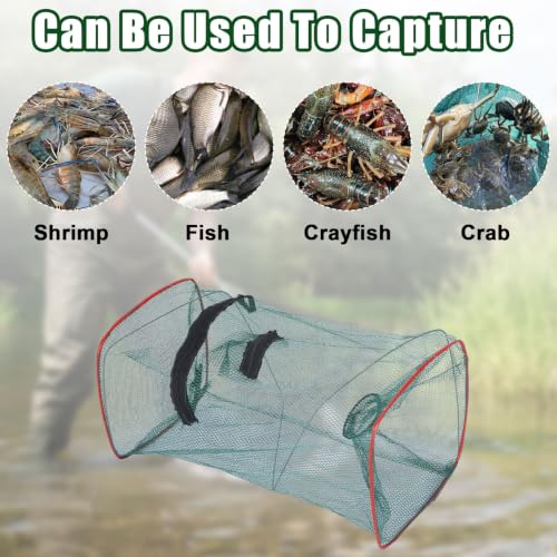 5 Pcs Fish Traps Net Foldable Crayfish Bait Minnow Traps for Bait Fish Portable with Rope Collapsible Lobster Shrimp Crawdad Crawfish Crab Trap Fishing Net Accessories
