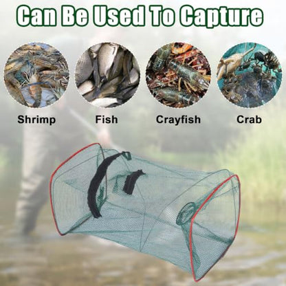 5 Pcs Fish Traps Net Foldable Crayfish Bait Minnow Traps for Bait Fish Portable with Rope Collapsible Lobster Shrimp Crawdad Crawfish Crab Trap Fishing Net Accessories