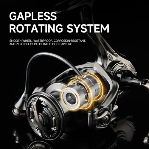 HAUT TON Dolphin Advance Edition Spinning Reel,5.2:1Gear Ratio,22LBS,5+1BB,Backlash Free Bearing,Sealed Drag System,Saltwater,Freshwater Fishing Reels - color: SWPro, size: 3000