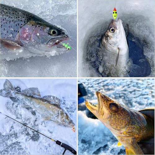 Dovesun Ice Fishing Jigs Kit Ice Fishing Lures Glow in The Dark Fishing Gear Lures 20-93Pcs Jig Head with Tackle Box for Panfish Walleye Crappie Perch Bluegil Trout - color: 20pcs