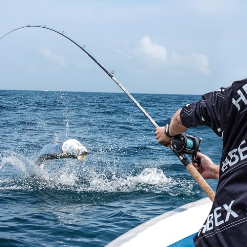 Sougayilang Fiberglass Fishing Pole Conventional Reel Combo with Durable P-Cork Rod Handle, Medium Heavy for Catfish Salmon and Steelhead - size: 9'0"H- M Fast with 4000 Reel