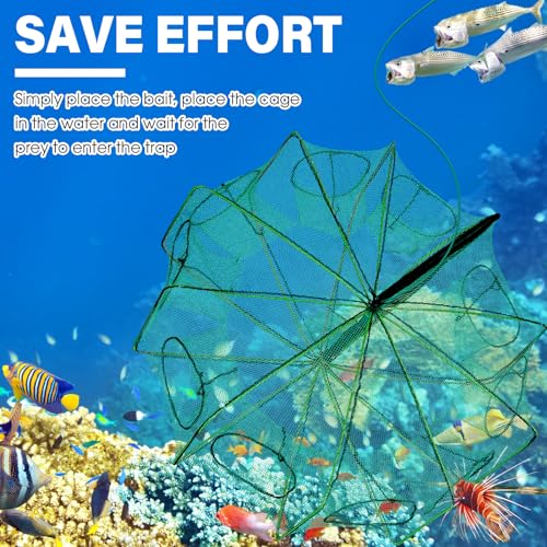 Windyun 2 Pcs Foldable Shrimp Trap 32 x 10 Inches Fishing Trap 10 Holes 10 Sides Portable Fishing Bait Nets for Minnow Crayfish Shrimp Crawdad Bait Accessories with Rope, Bag