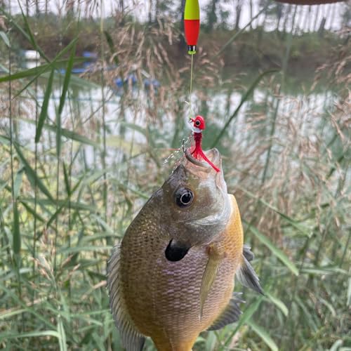 Weighted Bobbers for Fishing Floats EVA Foam Snap-on Fishing Bobbers for Crappie Bluegill Panfish Trout Catfish Bass 10 Packs - size: 2.5"