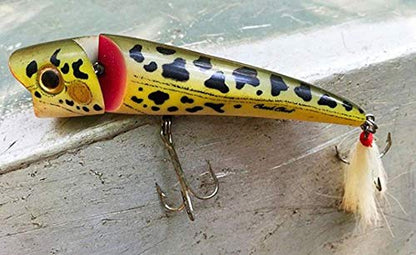 Creek Chub Knuckle Head Jointed Topwater Fishing Lure with Chugging and Popping Action - color: Baby Striper